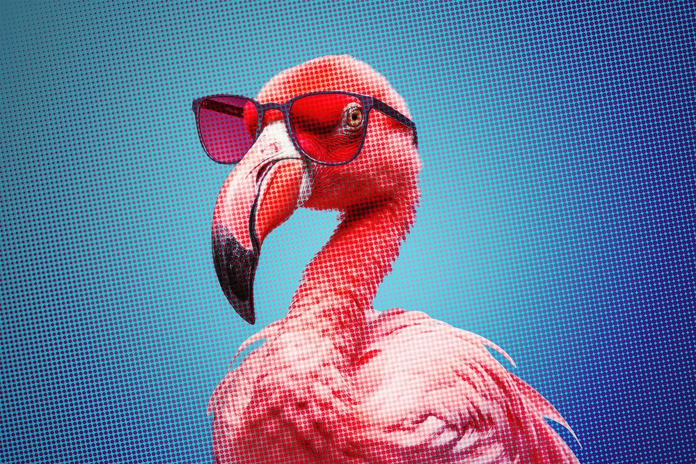 Cool flamingo half tone effect