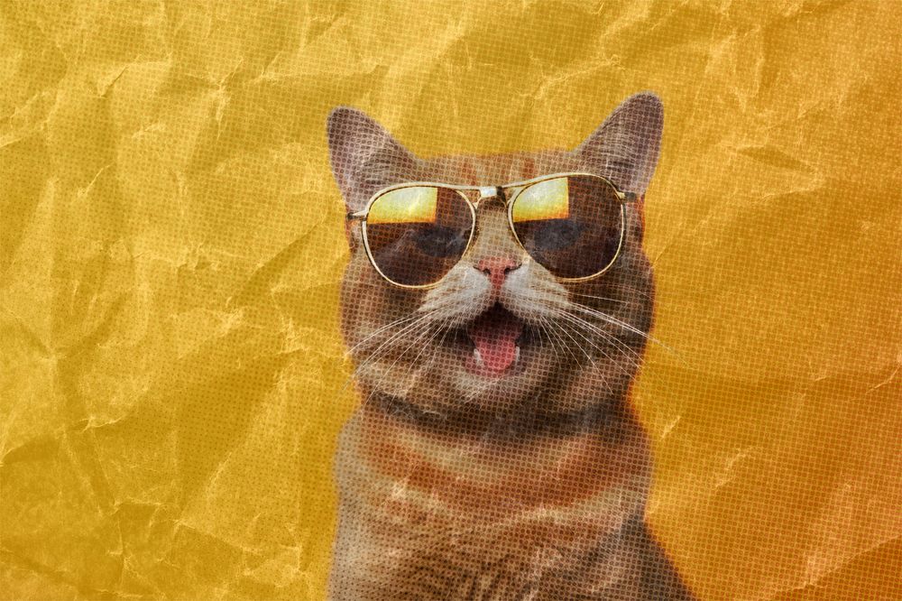 Orange cat with sunglasses, wrinkled paper texture