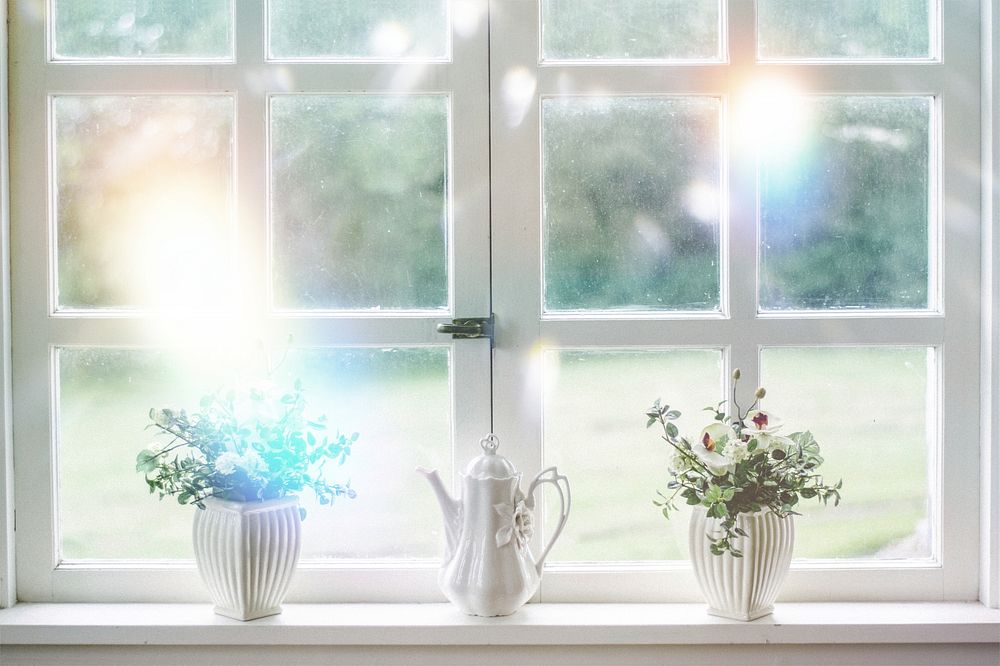 Potted plants by window, prism light