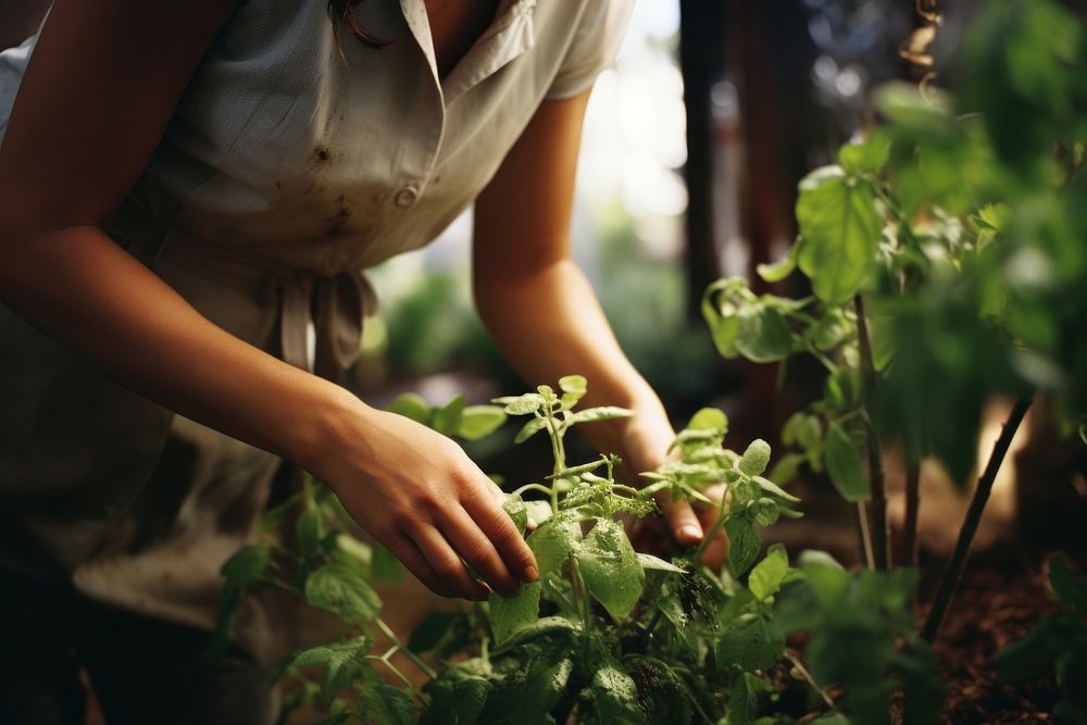 Woman Gardening gardening outdoors nature. 