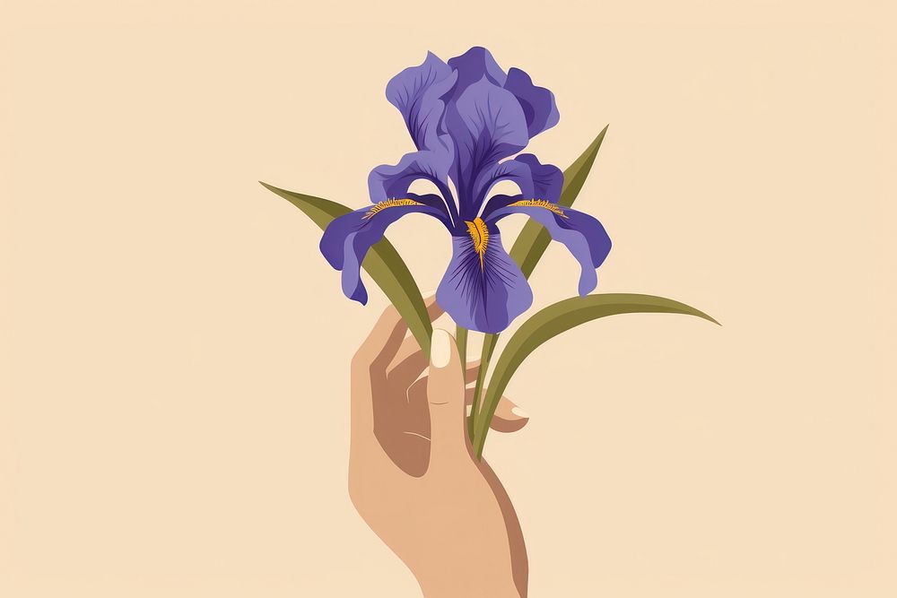 Person holding iris flower petal plant inflorescence. AI generated Image by rawpixel.