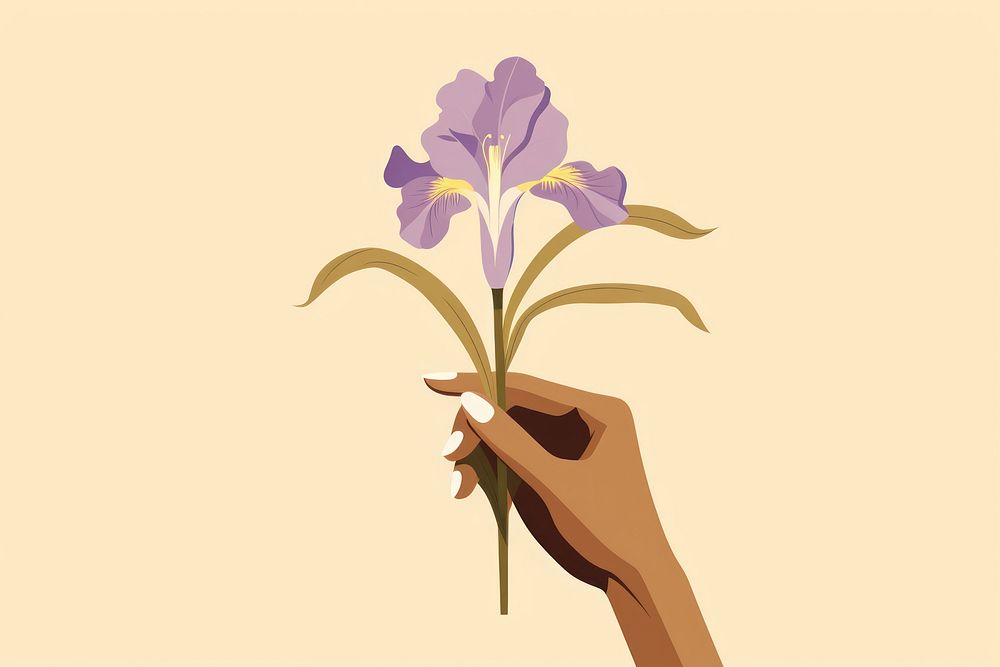 Person holding iris flower petal plant inflorescence. AI generated Image by rawpixel.
