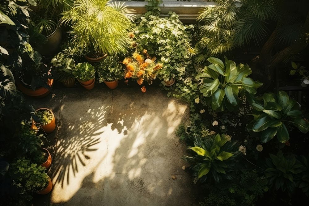 Garden outdoors backyard nature. AI generated Image by rawpixel.