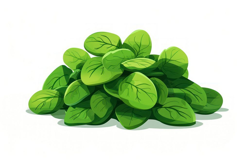 Spinach vegetable plant green. AI generated Image by rawpixel.