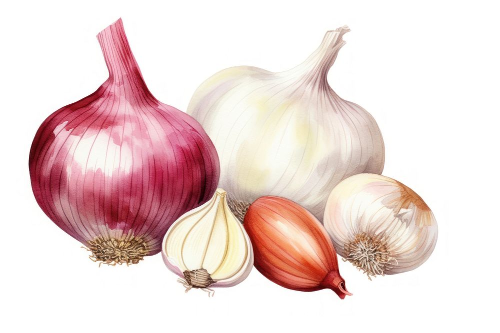 Onion vegetable shallot garlic. AI generated Image by rawpixel.