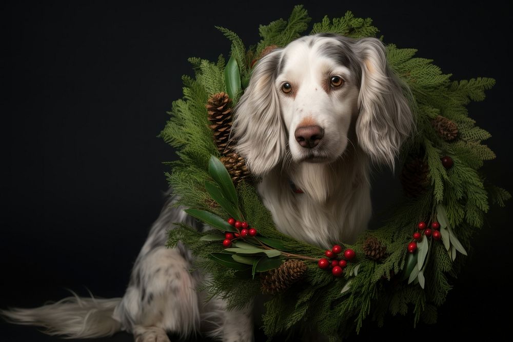 Christmas dog animal mammal. AI generated Image by rawpixel.