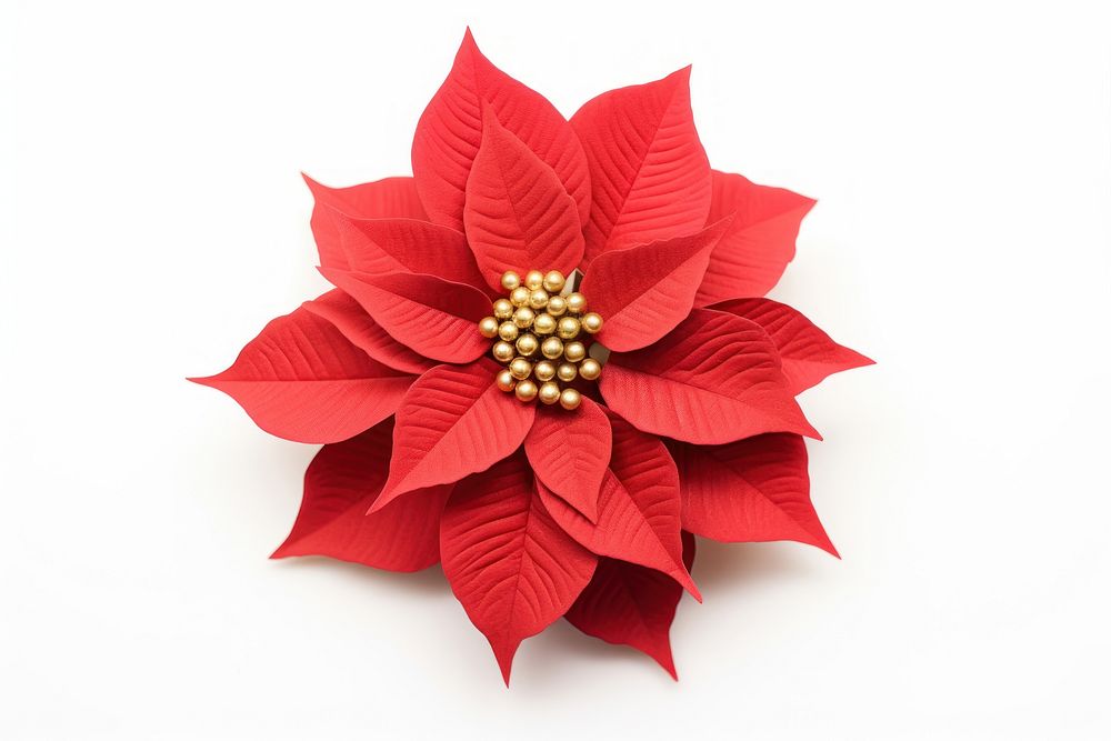 Christmas flower brooch plant leaf. AI generated Image by rawpixel.