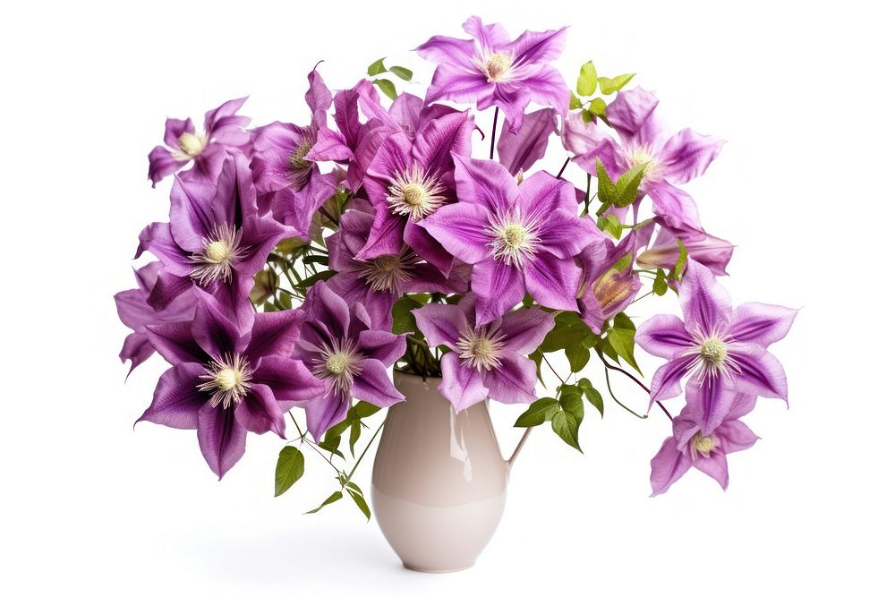 Clematis bouquet blossom flower plant. AI generated Image by rawpixel.