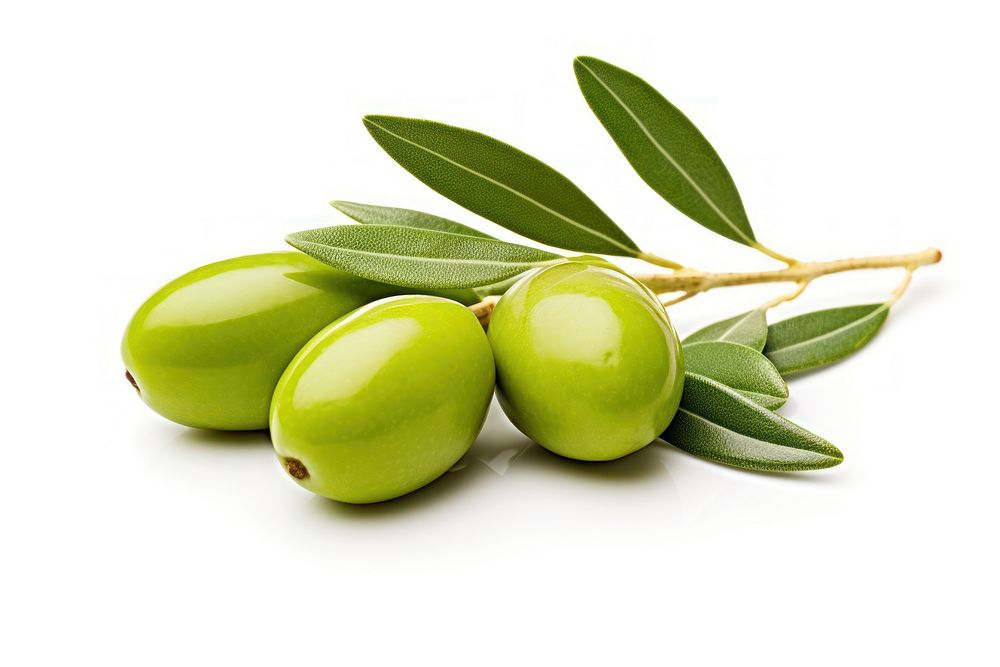Manzanilla olives plant food leaf. AI generated Image by rawpixel.