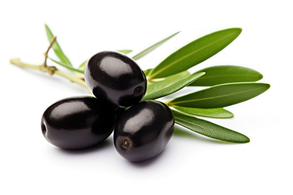 Olives plant food leaf. AI generated Image by rawpixel.