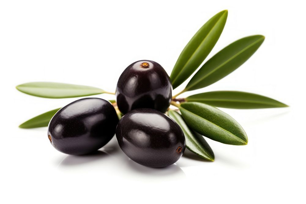 Olives plant food invertebrate. AI generated Image by rawpixel.