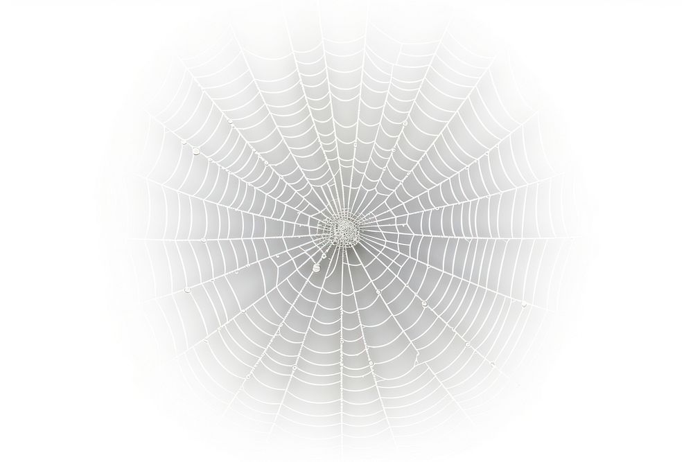 Cobweb backgrounds arachnid spider. AI generated Image by rawpixel.