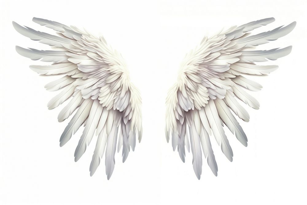 Realistic wings angel feather white. | Premium Photo Illustration ...