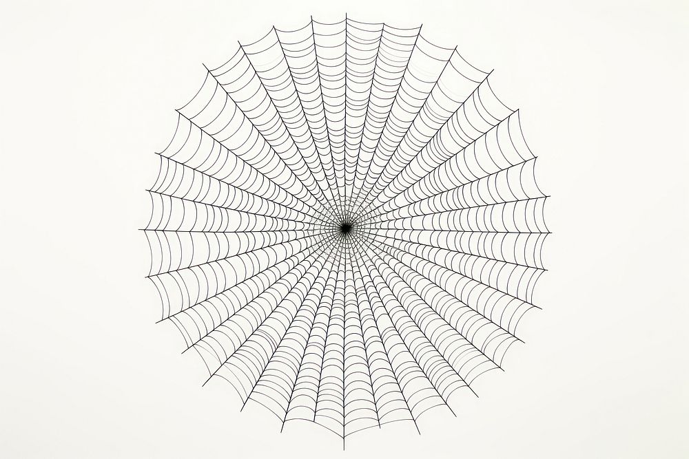 Cobweb backgrounds white background concentric. AI generated Image by rawpixel.