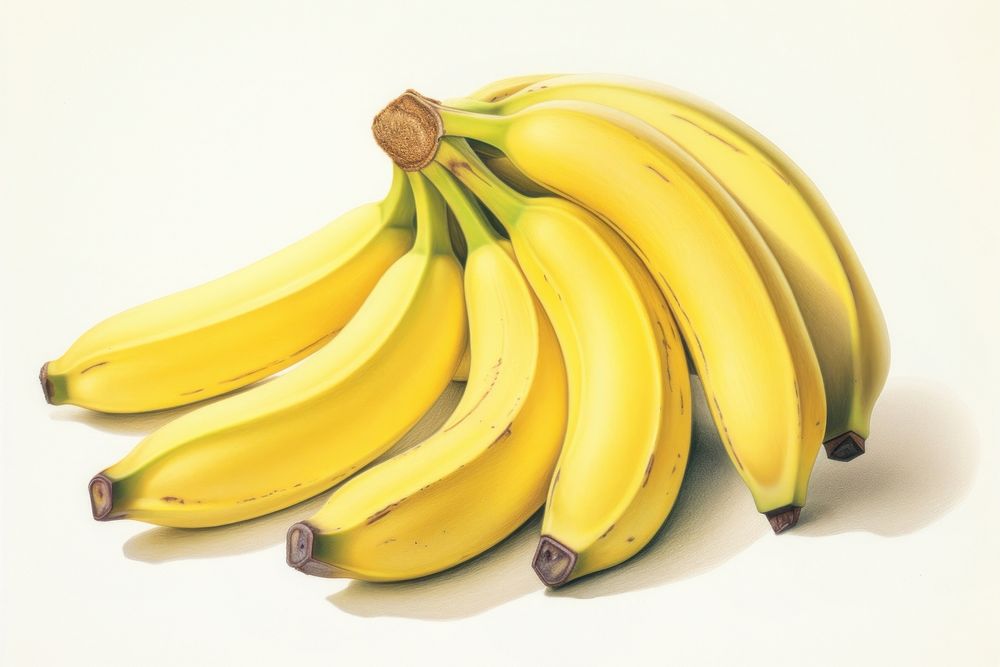 A banana bunch fruit plant food. AI generated Image by rawpixel.