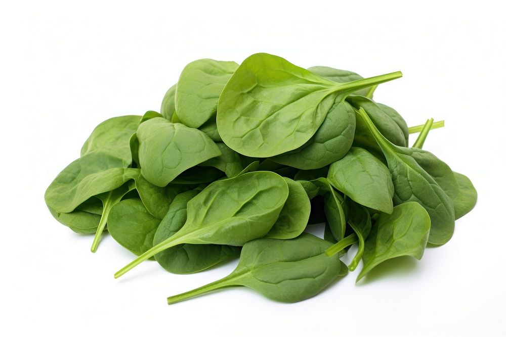 Spinach vegetable plant green. AI generated Image by rawpixel.
