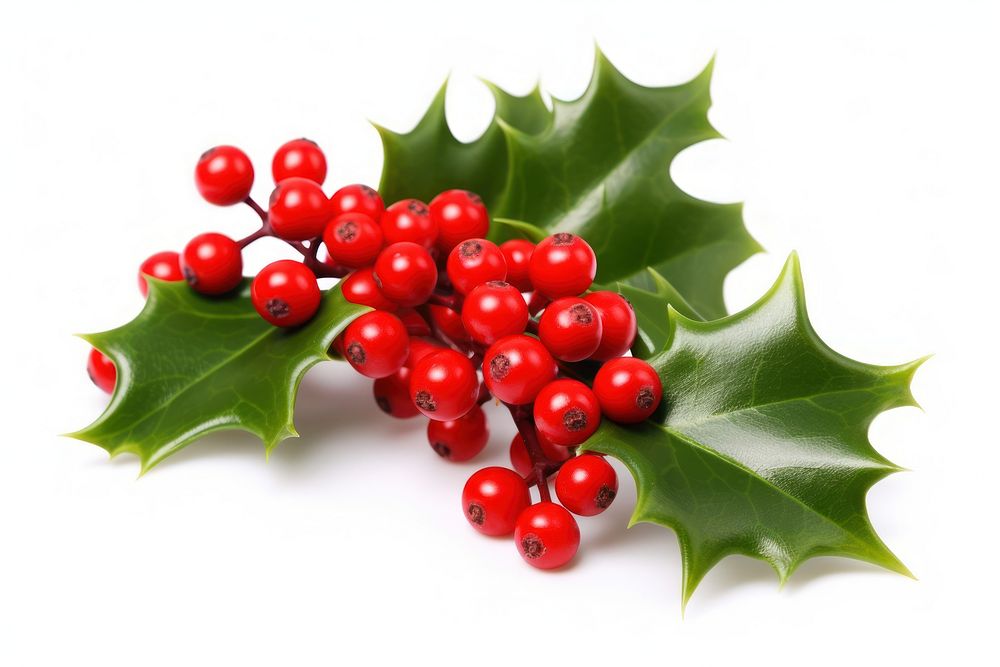 Christmas holly plant food leaf. AI generated Image by rawpixel.