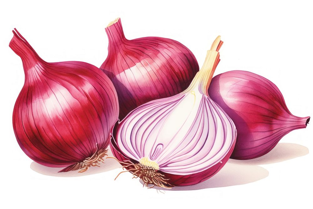 Vegetable shallot onion plant. AI generated Image by rawpixel.