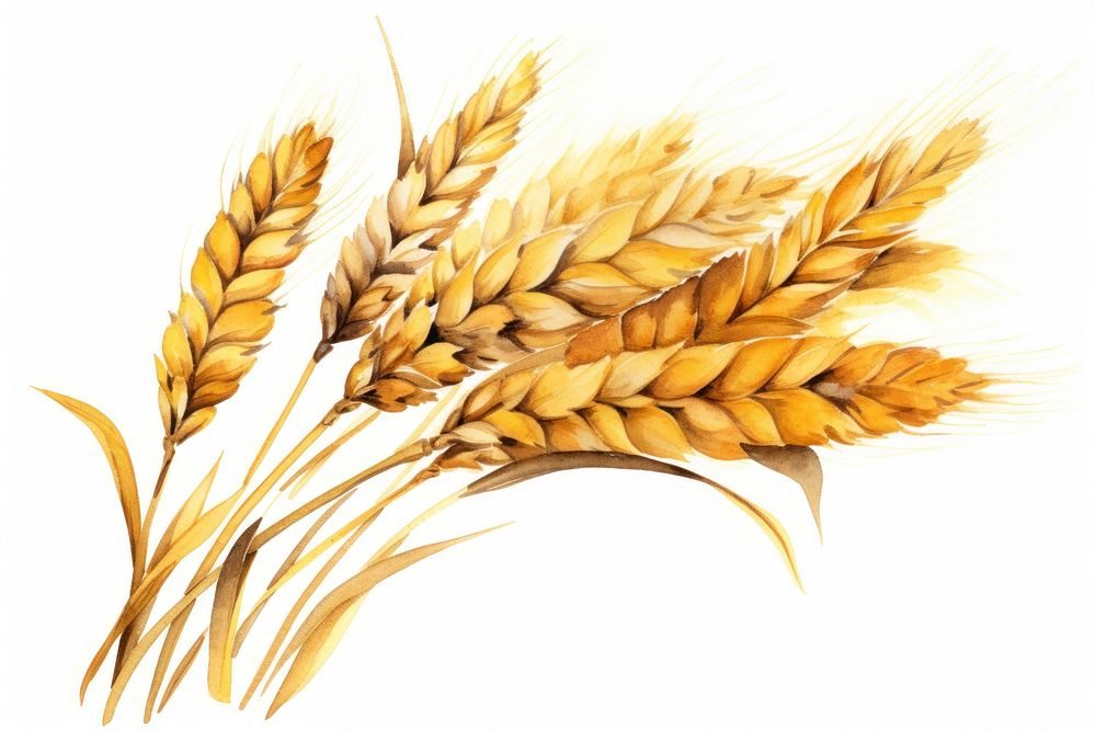 Plant wheat food agriculture. AI generated Image by rawpixel.