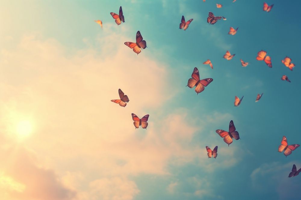 Background sky butterfly outdoors. AI generated Image by rawpixel.