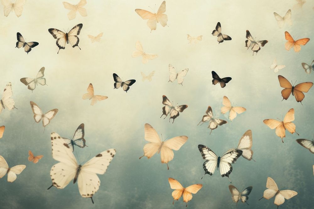 Background backgrounds butterfly animal. AI generated Image by rawpixel.