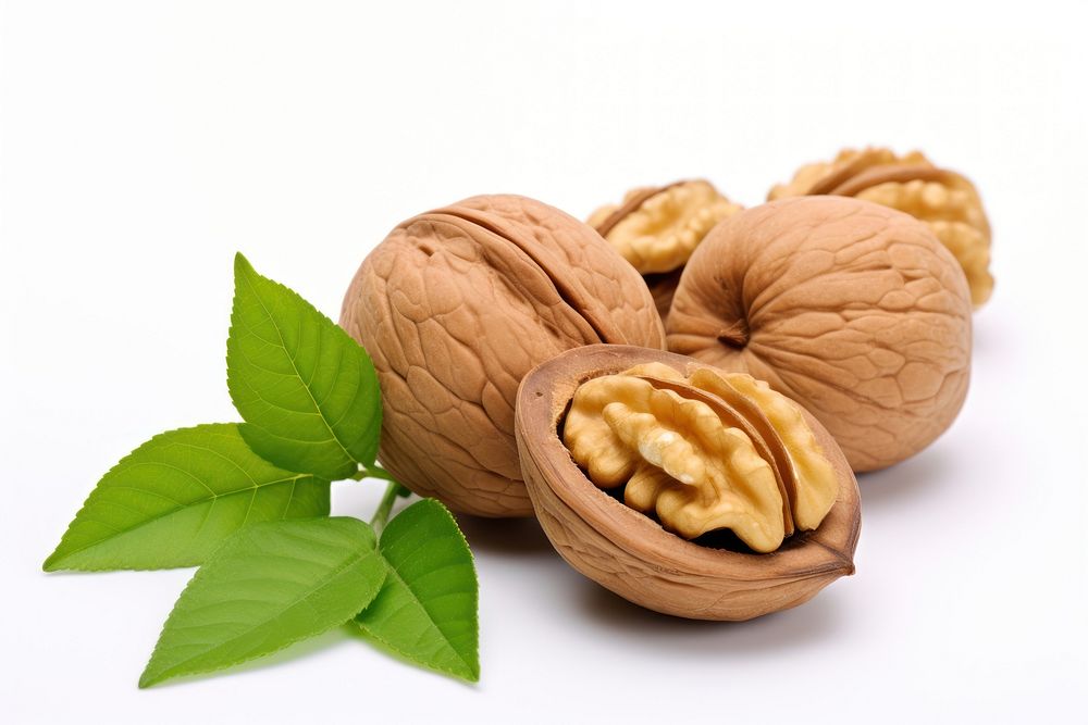 Nut walnut plant food. AI generated Image by rawpixel.