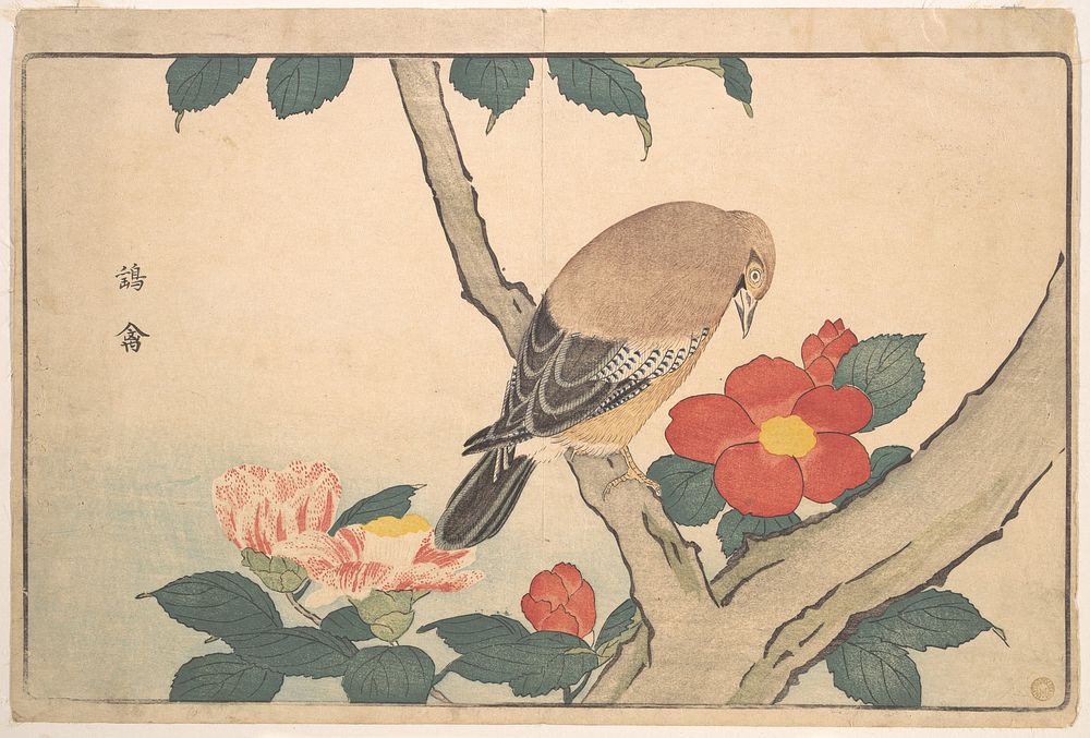 Camellias with a Bird