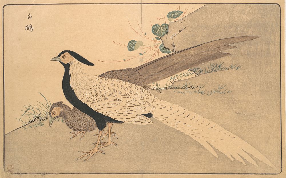 Bai xian
