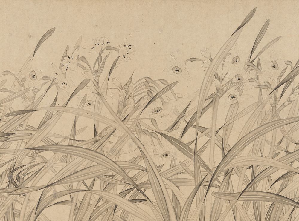 Narcissus, Zhao Mengjian (Chinese, 1199&ndash;before 1267)