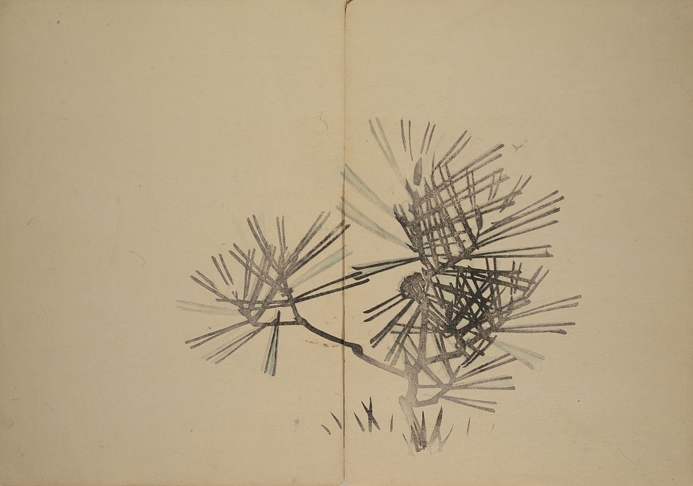 Kinkadō's Album of Drawings by Keibun
