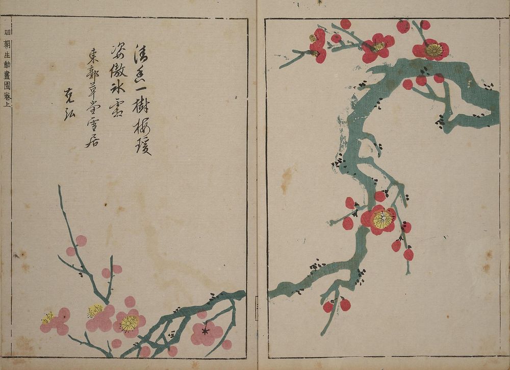 A Collection of Lively Sketches Of Flowers and Insects of the Ming dynasty