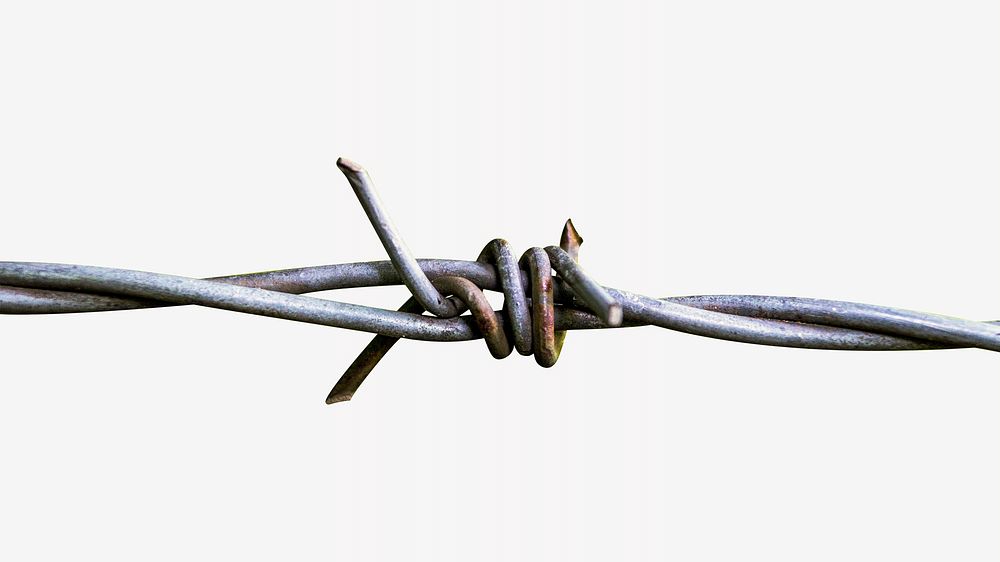 Barbed wire fence, isolated image