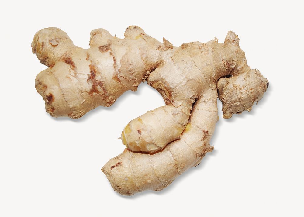 Ginger vegetable, isolated image
