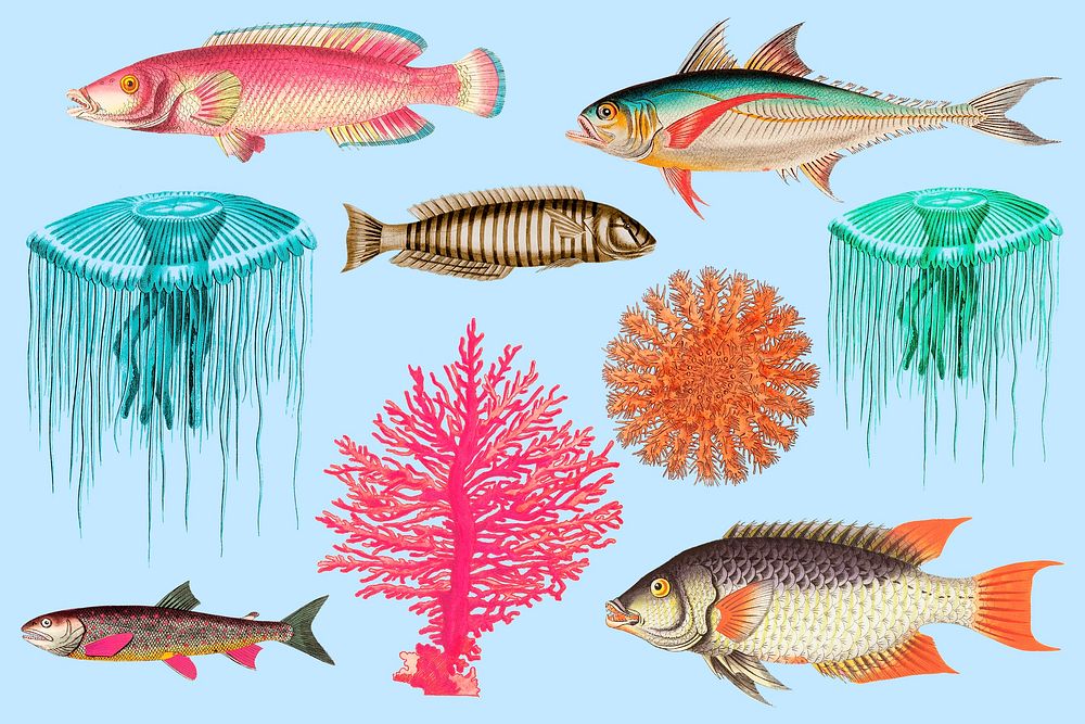 Exotic fish, marine life collage element set psd