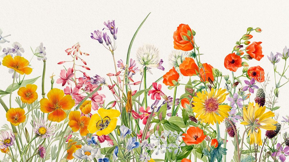 Aesthetic Spring flower desktop wallpaper, vintage botanical illustration