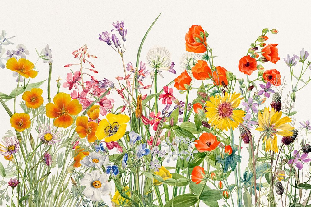Colorful flower background, vintage botanical illustration