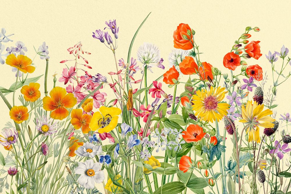 Aesthetic Spring flower background illustration