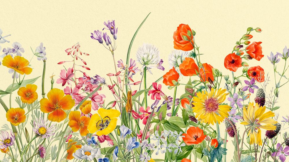 Colorful flower desktop wallpaper, vintage botanical illustration