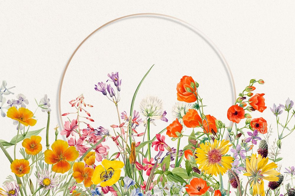 Spring flower background, gold frame illustration