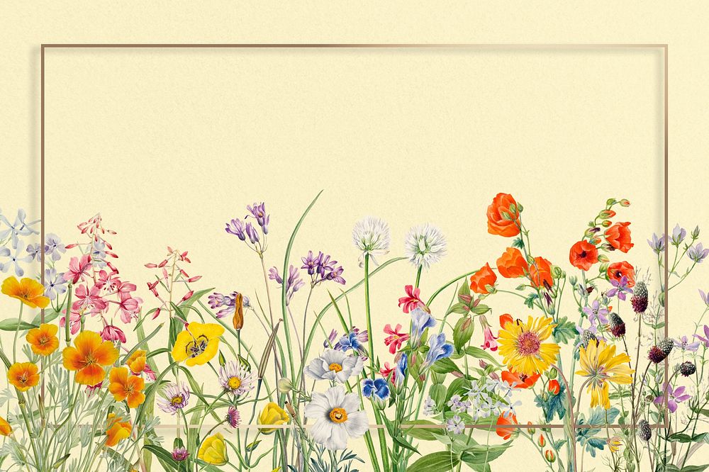 Spring flower background, gold frame illustration