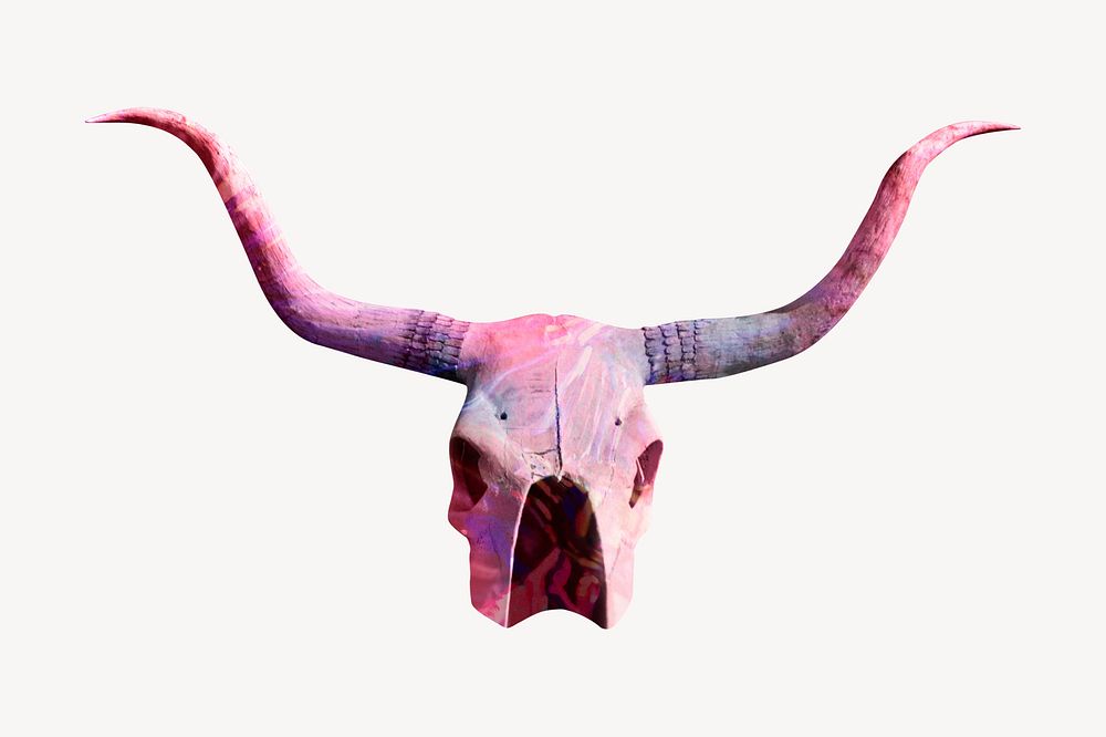 Pink longhorn skull psd