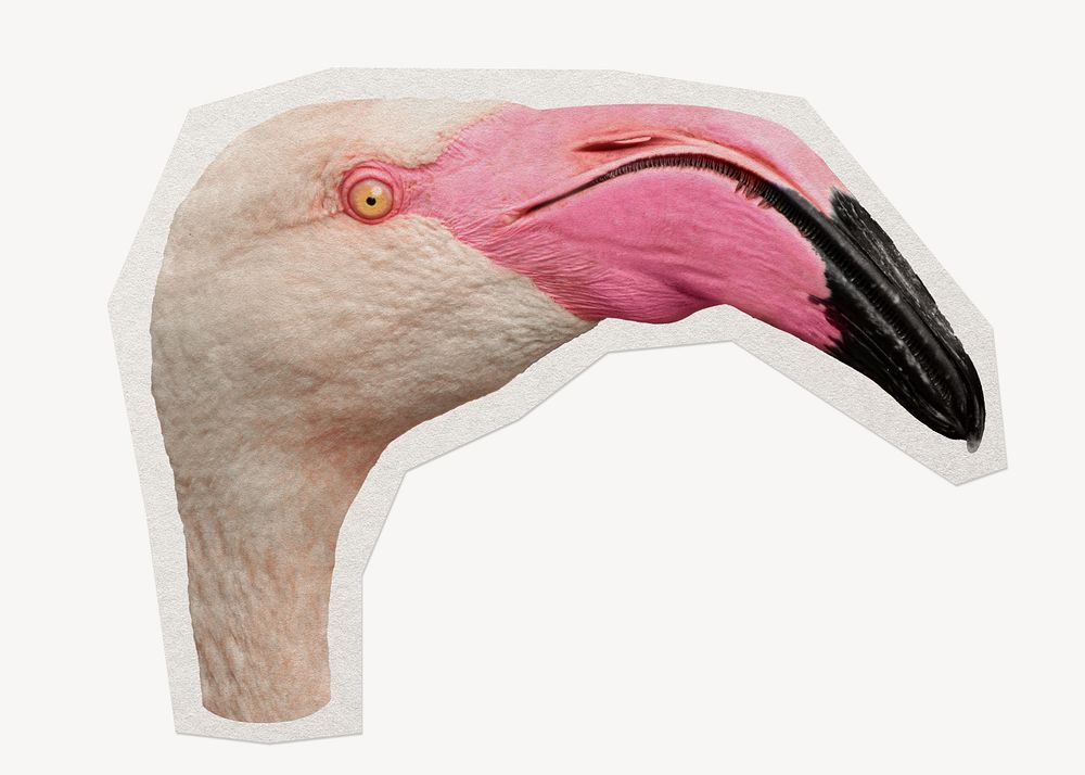 Flamingo head paper cut isolated design