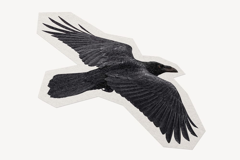 Flying Raven bird paper element with white border