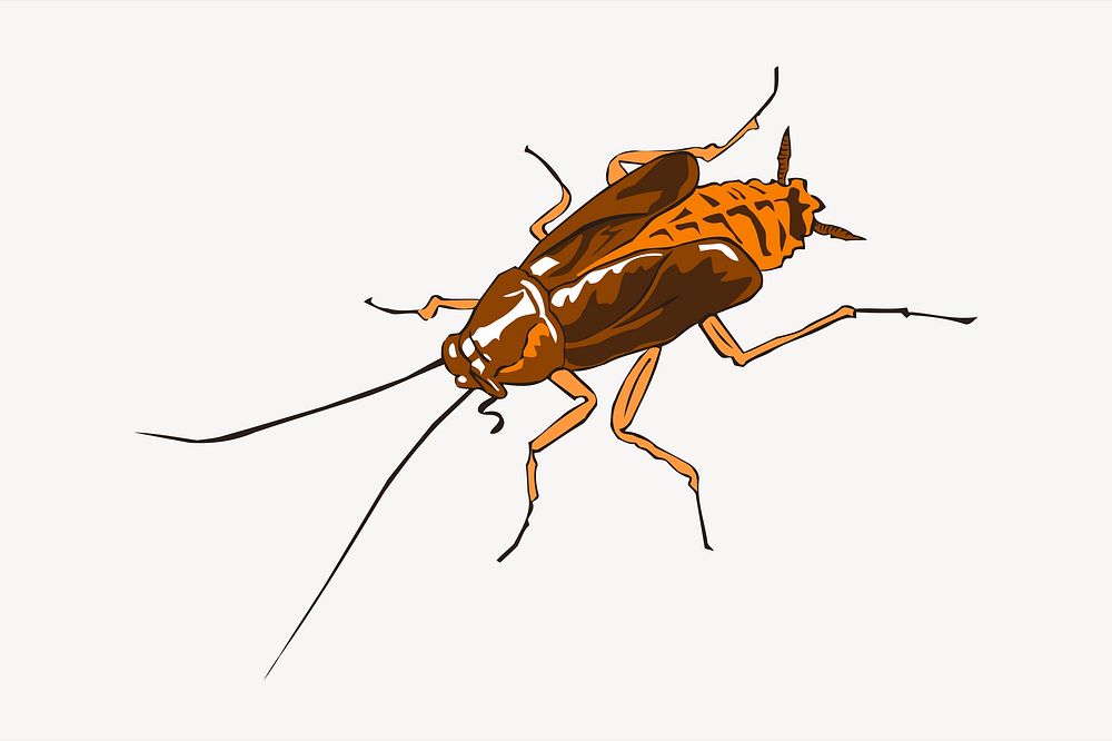 Cockroach clipart illustration vector. Free public domain CC0 image.