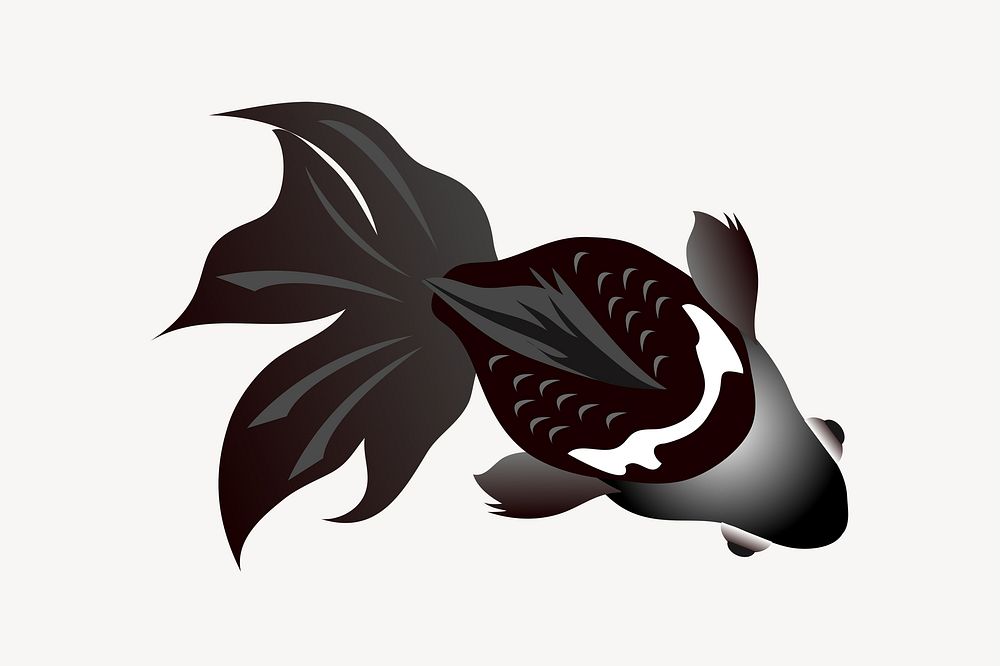 Black moors gold fish illustration vector. Free public domain CC0 image.