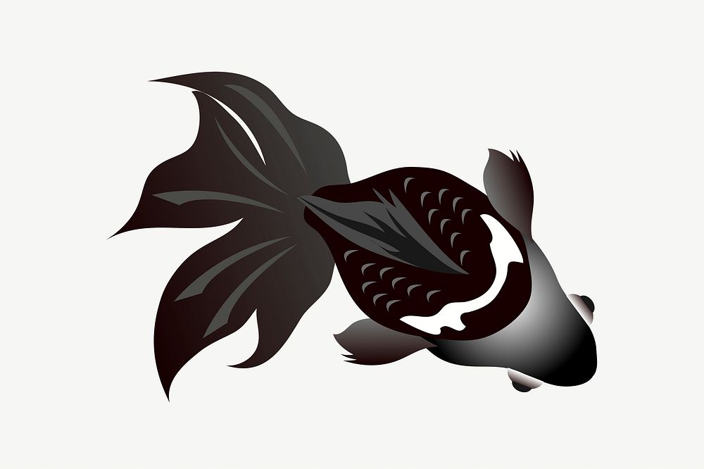 Black moors gold fish illustration psd. Free public domain CC0 image.