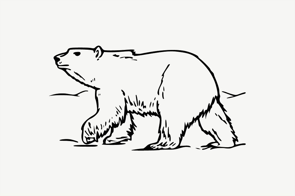 Polar bear illustration psd. Free public domain CC0 image.