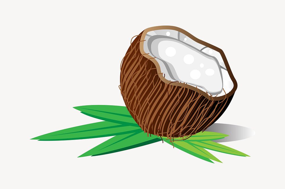 Coconut illustration. Free public domain CC0 image.
