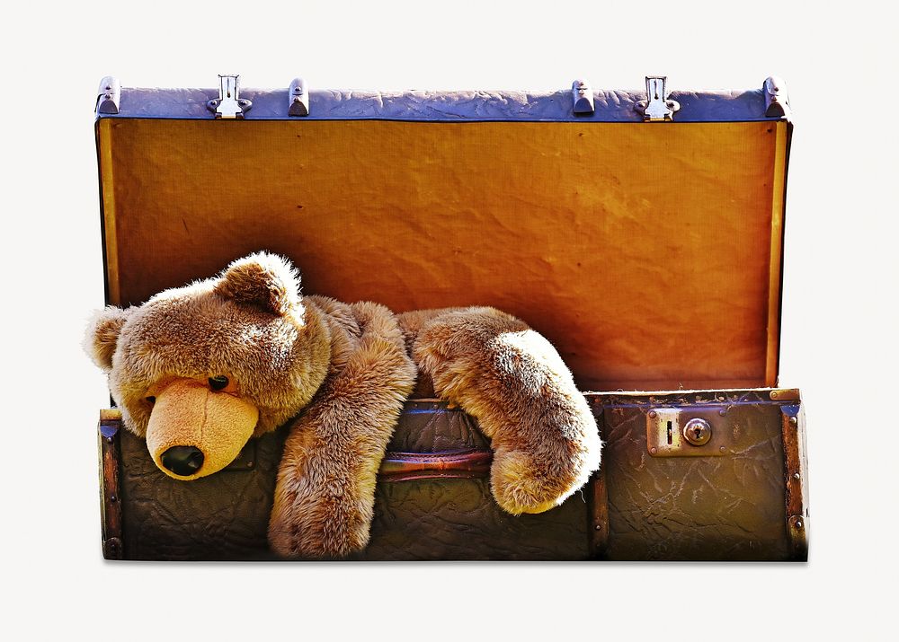 Teddy bear suitcase, isolated image Free Photo rawpixel