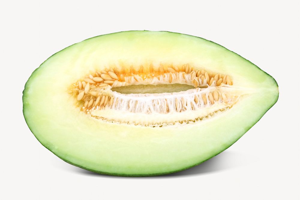 Melon fruit isolated design